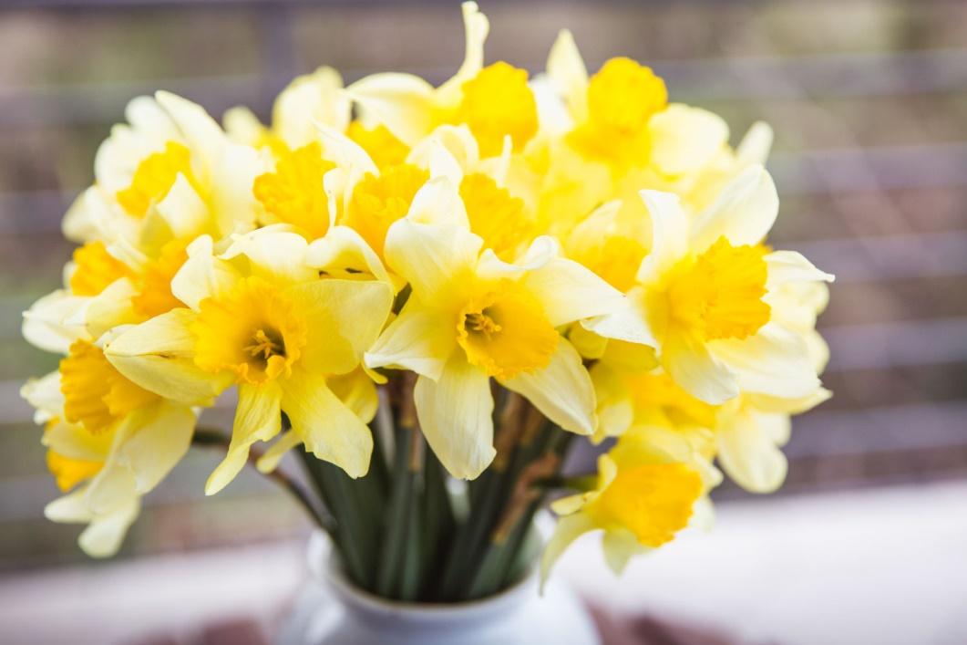 The symbolism of Flowers in Condolence: Offering Comfort and Support