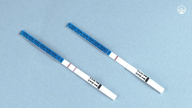Understanding Pregnancy Test Strips: A Comprehensive Guide