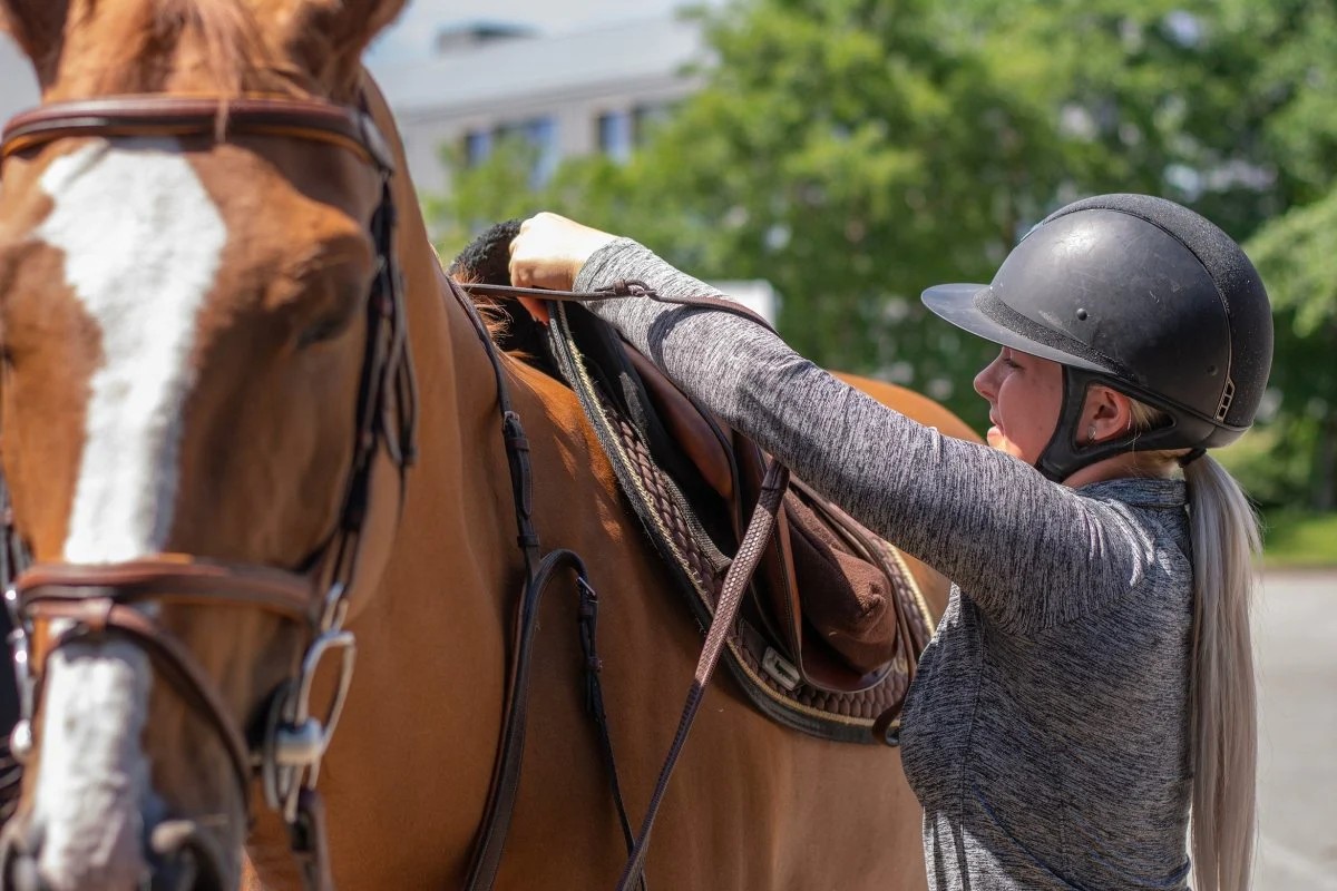 Saddle pads